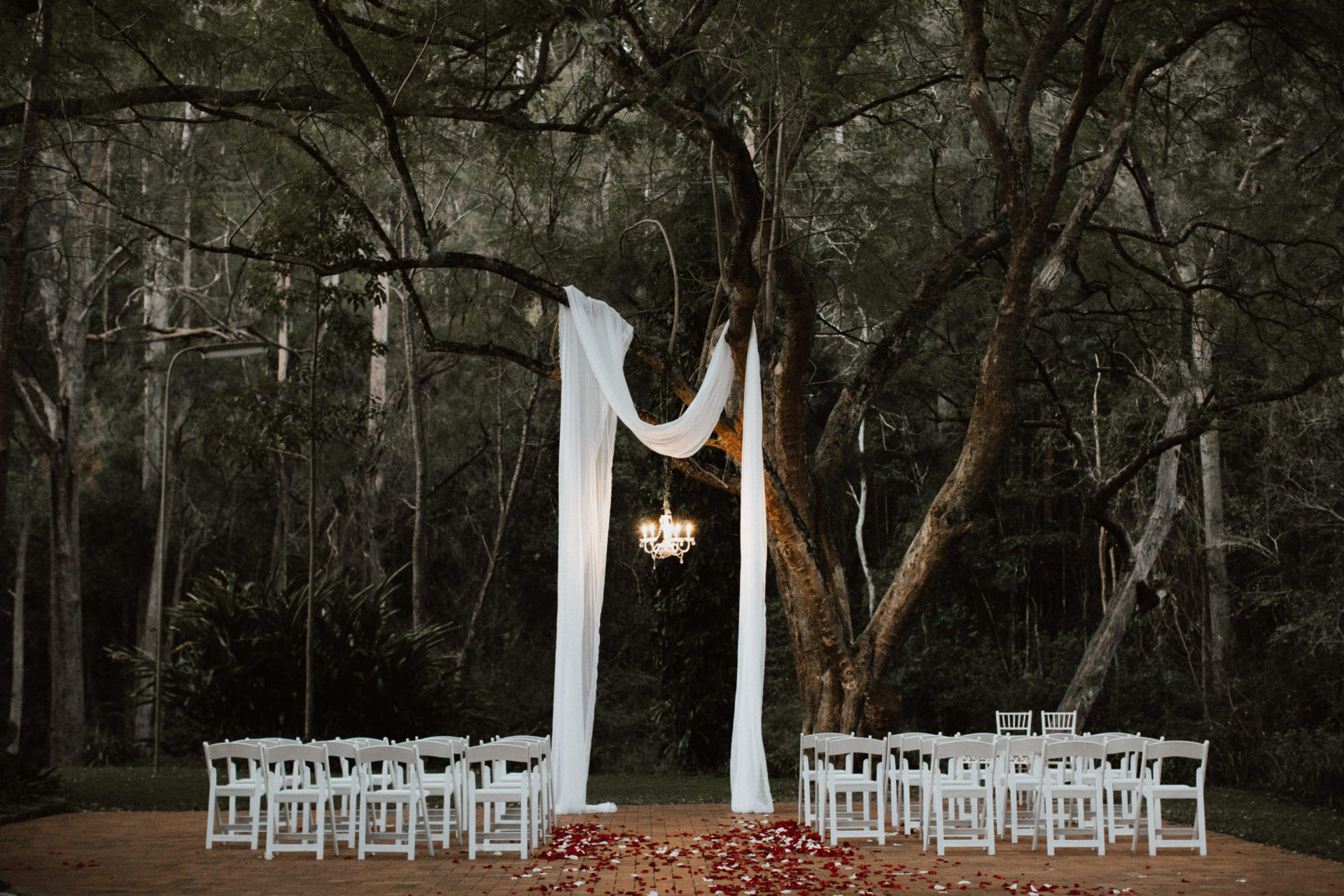 Brisbane outdoor wedding ceremony jacaranda tree