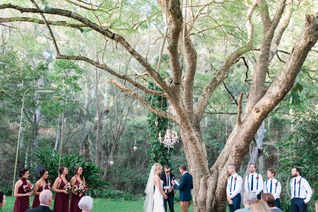 Brisbane outdoor wedding ceremony jacaranda tree